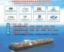 专业进出口代理服务，助力企业高效拓展全球市场